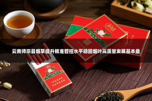 云南师宗县烟草提升精准管控水平稳固烟叶高质量发展基本盘